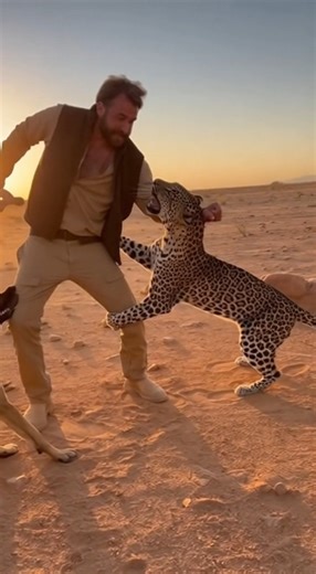 2.5K views · 13 reactions | Dust. Roar. Survival. — 10 Seconds of Madness | Hollywood stars fans | Facebook