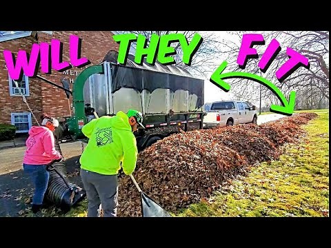 HOW TO DO A FALL LEAF CLEANUP - TIME-LAPSE