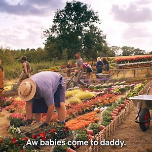These teams on The Big Flower Fight get run of a fully-stocked nursery, and I can’t even get a park at Bunnings. | Netflix
