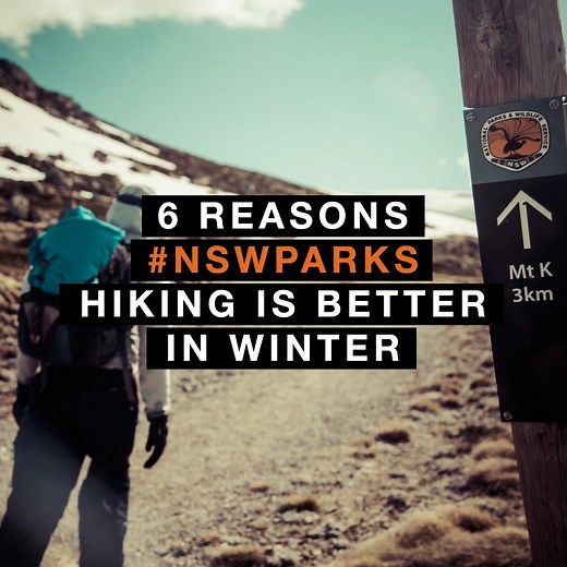 8.6K views · 72 reactions | Have you been hiking in a NSW national park this winter? Find out why hiking is perfect in the cooler months  #NSWParks blog.nationalparks.nsw.gov.au/why-hiking-is-actually-better-in-winter/ Stay safe in NSW national parks. Check our website for alerts and closures before visiting a park. | NSW National Parks and Wildlife Service | Facebook