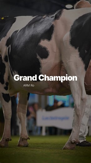 7.9K views · 180 reactions | Femininity. Beauty. STyle™. Champions....