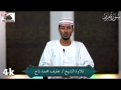 Surat Maryam [4K ULTRA HD] | Sh. Afif Mohamed Taj | سورة مريم | الشيخ عفيف محمد تاج