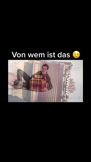 #Steirischeharmonika #stmk #österreich🇦🇹 #austropop