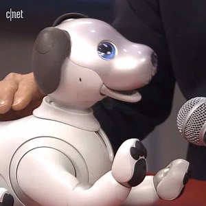 This new robot pup from Sony will melt your ❤️. #ces2018 | CNET