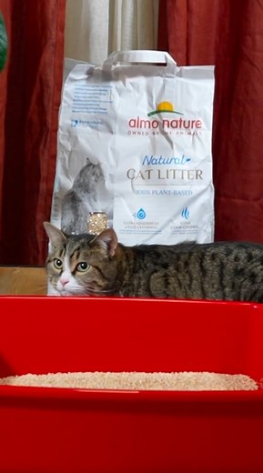 🔎 Did you know that hundreds of thousands of tons of mineral cat litter are thrown into the rubbish each year? In addition to the environmental impact of the disposal, when choosing mineral litter, one must also consider the impact of the excavation of quarries and land necessary for its production. 🌿 Vegetable cat litter, on the other hand, has a lower environmental impact, at both the production and disposal levels. Our Grain Texture cat litter, for example, is made of corn cob, a by-product