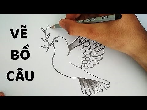Vẽ Chim Bồ Câu đơn giản - How to draw a Dove