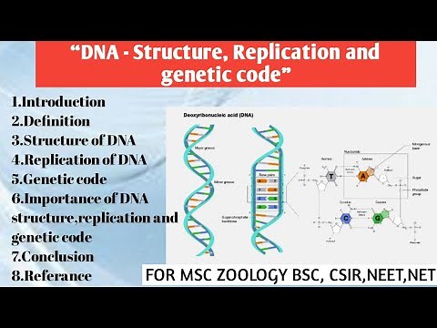 DNA Structure , Replication and genetic code | Structure of DNA | Replication of DNA | Genetic Code