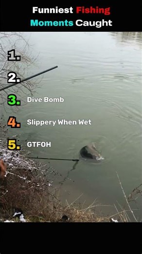 Fishing gone hilariously wrong #fishing #funny #fails