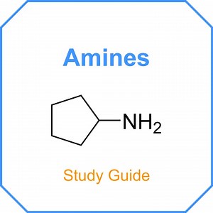 Amine - Studienführer für | Pflege | Krankenpflegeschule | Pre-med | mkat | komplettes Platzpaket | Life Science | Gesundheitslehre - Etsy.de