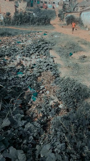 ##ppppppppppppppppppppppp #trendinggoviral