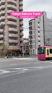Tokyo Sakura Tram #trainspotting #trains #train #railway #tram #trams #japantram #railways_of_our_world #railwaystation #railroad #trainspotter #trainstation #japan #tokyo #日本 #東京 #japantravel #traveljapan #touchdowntokyo #shinjuku #waseda | Touchdown Tokyo
