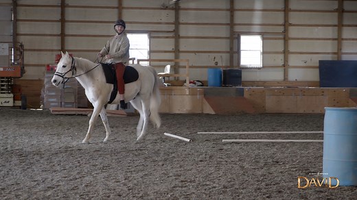 David's triumphant entrance required a little training. #David2022 #SightandSoundTheatres #WheretheBibleComestoLife | Sight & Sound Theatres