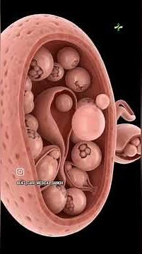 Mala-D Tablet Uses | How to Take Oral Contraceptive Pill? 💊 | Family Planning Facts