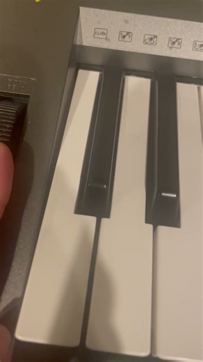 Hear piano note C-2. #musicology #musicalinstrument #music #bassfeatured #pianomusic #spinetpiano