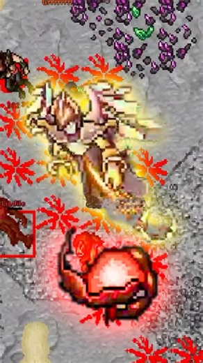 Can We Spawn a Warden from the *NEW* Echo? (Tibia Test Server 2026 Summer Update) #tibia #gaming
