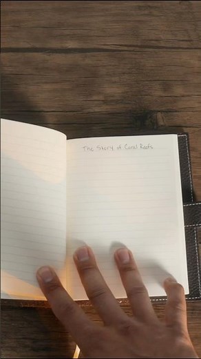 How are Coral Reefs Formed!? | Ocean Wonders.