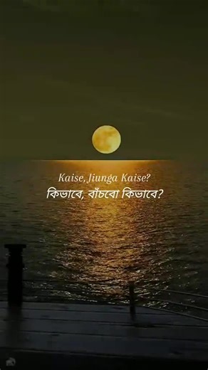 musafir song..!♡ #foryou #fyp #song #musafirsong #atifaslam #atifaslamsong #lyricsmahi08 #copylink @TikTok@TikTok Bangladesh @Atif Aslam @TikTok