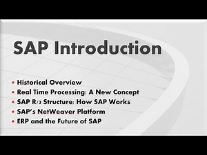 SAP Fundamentals - Introduction