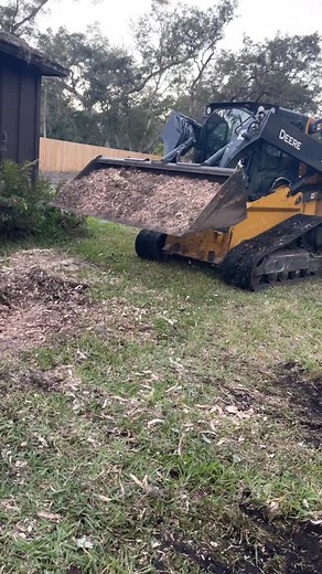 Maks Removal Tree on Reels | Facebook