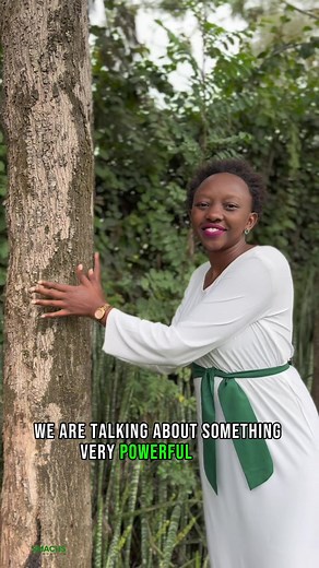 Join us today for National Tree Planting Day! 🌳 Let's come together to make our planet greener and healthier. 🌿🌍 #TreePlantingDay