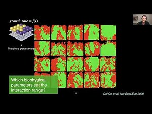Spatial Interaction Networks in Microbial Communities - Alma Dal Co