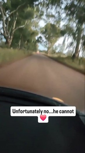 Dear Mr Min. of Potholes 📢 I mos definitely in support of hierdie maan, asemblief tog b4 the city collapes 😆 🤣 Yours sincerely Rate Payer | Thapelo Ntisa