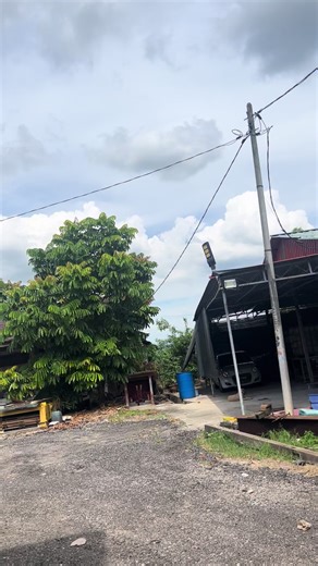 Exploring New Holland Tractors Models 8070, 1545, and 8060