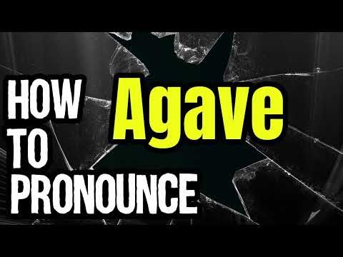 How To Pronounce Agave? (CORRECTLY) Meaning & Pronunciation