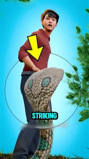 If You’re Near a Venomous Snake… Don’t Run!