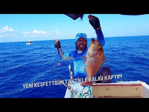 💥Kırmızıyı Nasıl Yakaladım I Sarı Ağızlı Güzellik I Süper Taktik !!