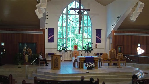 Daily Mass | Mary, Queen of Peace Catholic Church