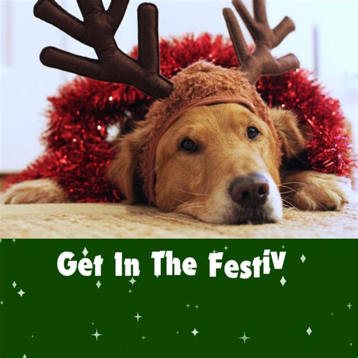 Please LIKE our page! | A L Howes Insurance Agency, Inc