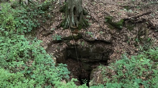 Dog Skull and Collar Found in a 100ft Deep Sinkhole