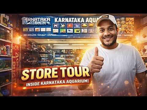 Inside Karnataka Aquarium 🐢🦜🦎 | Complete Store Tour & Collection Walkthrough