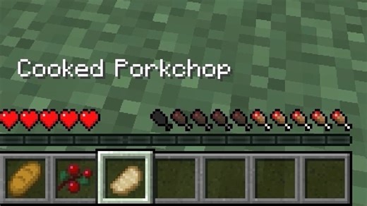 Minecraft Hunger Bar Display