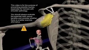 49K views · 26 reactions | Muscle Nation on Reels | Facebook