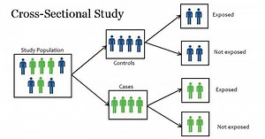 Cross-Sectional Study - Public Health