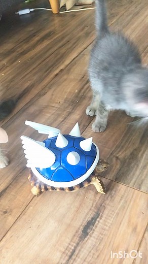 21K views · 879 reactions | Who needs a power up? #tortoise #turtle #reptile #reptiles #funnyanimals #sulcata #sulcatatortoise #tortoises #funnypets #turtles #pet #tortoiselife #tortoiselove #pets #animals #aww #nature #tortoiselover #animal #kurakura #schildkr #koopa #nintendo #90s #tortuga #mariocart #babytortoise #pardalis #blueshell #sulcatalover | Tucker The Tiny Tortoise | Facebook