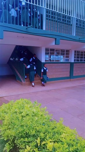 The Queens: A Heartwarming School Life Moment