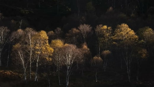 How to Master Mood in Landscape Photography in Under 5 Minutes