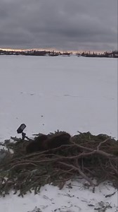 2.7K views · 23 reactions |  Big News! DEFY has a New Home!  Same great programming, just a new spot on your dial.  Enter your city to find DEFY in your area and keep enjoying all your favorite shows: https://bit.ly/FindDEFY | DEFY TV Network | Facebook