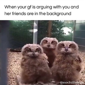 So true, right? :D | Video and Gif Station