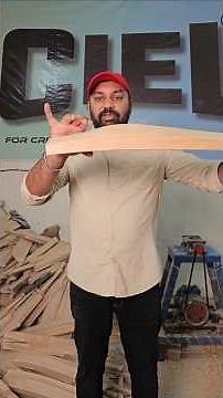 How to Choose the Right Cricket Bat | Player vs Slogger | Bat Profile, Handle, Grains Explained