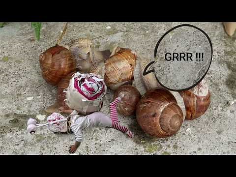 BIG SNAILS FAILS | GIANT SNAIL AND THE BIG CRUSH FOR KIDS | SLUG