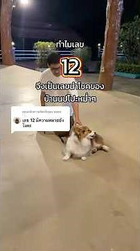 Why is the number 12 considered a lucky number in our country?