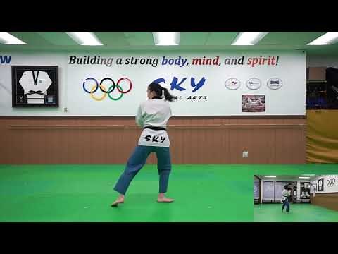 Palgwe 2 - 팔괘2장 - Sky Martial Arts