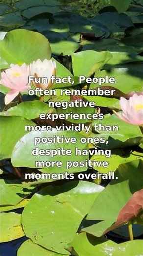 Why We Remember Negativity More Than Positivity