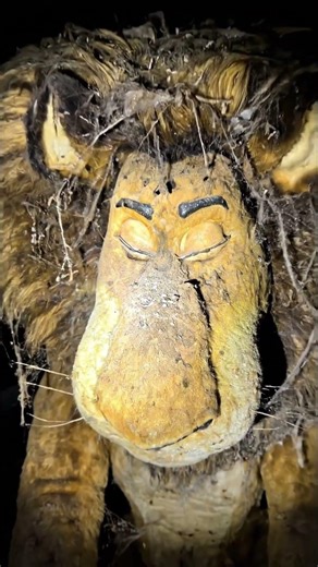 POV: You found the lost Madagascar shipment 📦❄️