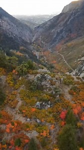 Nothing beats fall in the mountains! Who's heading to the trails with us this week? 🍁⛰️🧡 #visitogden #ogden #ogdenutah #beutahful #falltravel #fallhike #autumnvibes | Visit Ogden