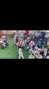 Pawryyyyy🐾🐾🐾 | Sheeba Sabir